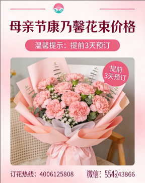 蚌埠固镇县花店母亲节康乃馨花束