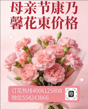 蚌埠固镇县花店母亲节康乃馨花束
